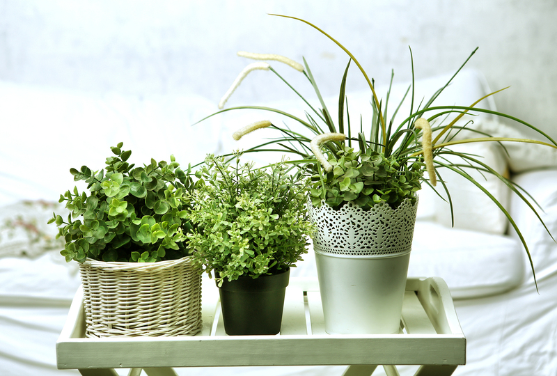 Property plants