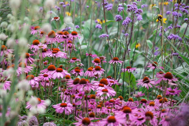 lawn maintenance garden