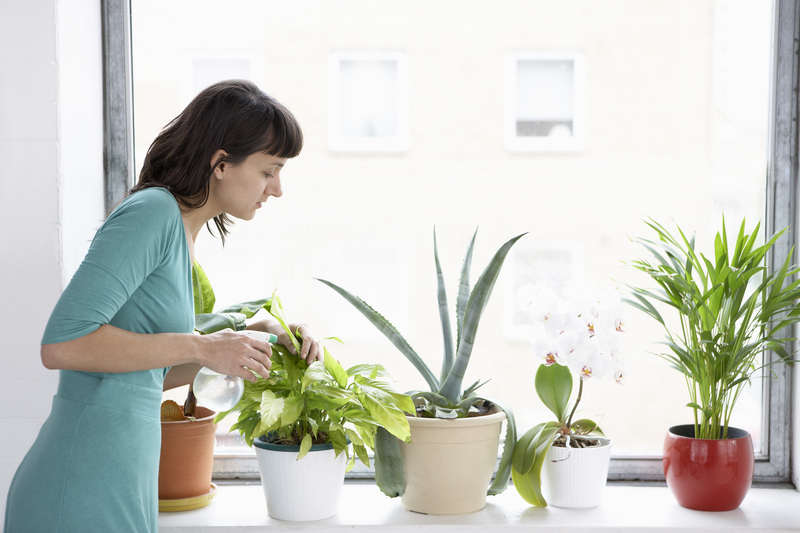 garden plants