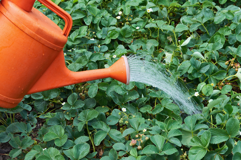 irrigation system garden